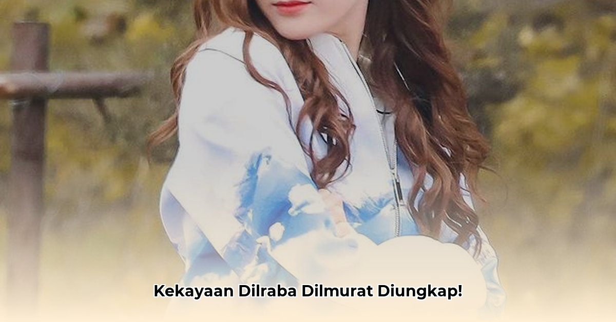 dilraba dilmurat net worth